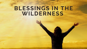 Blessings in the Wilderness